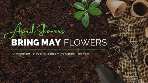 april showers bring may flowers banner, 10 important todos for a blooming garden